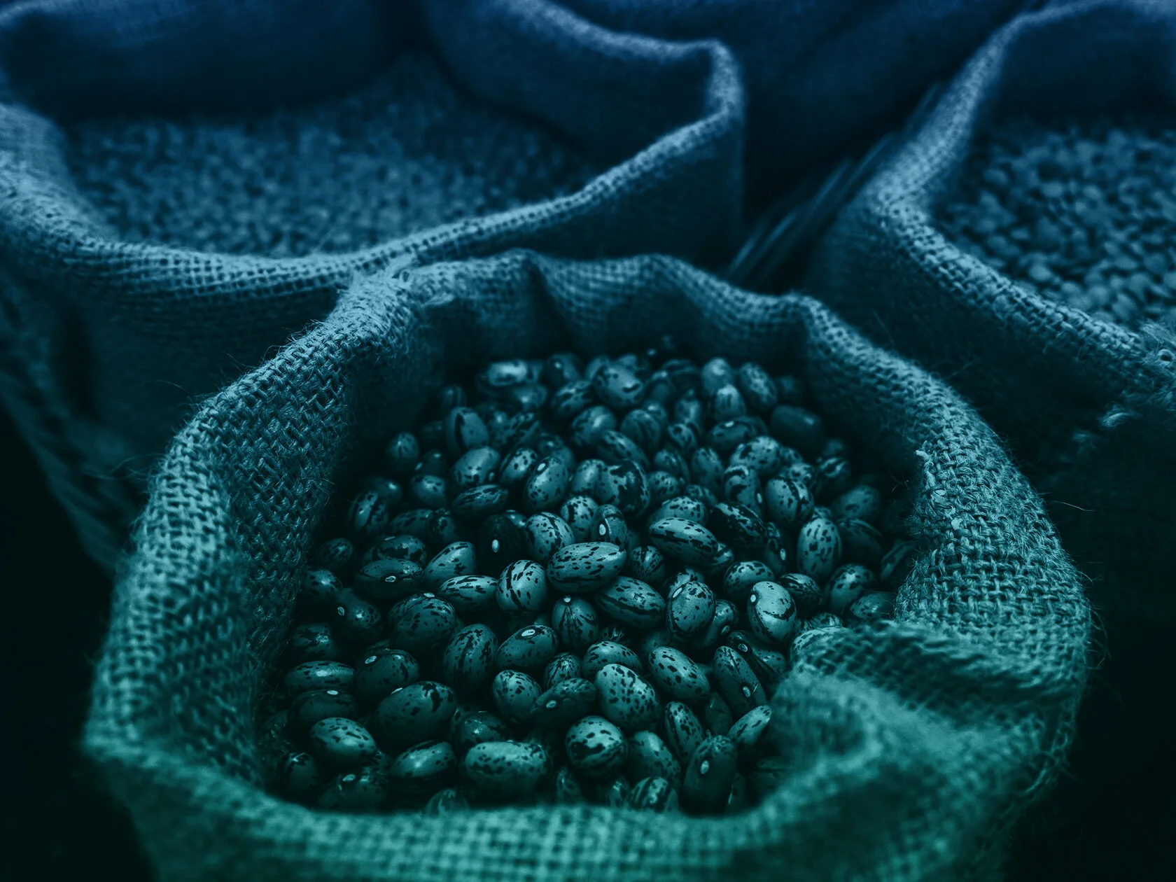 BBS Grain Conference